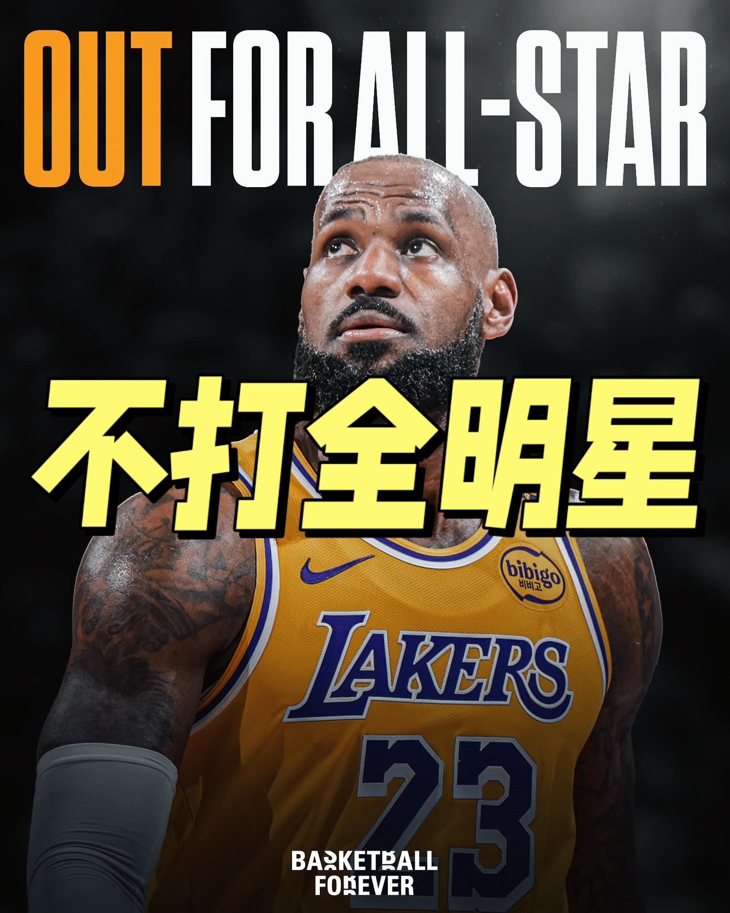 詹姆斯新星夺冠表现突出，MAD前途光明！